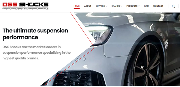 ds shocks