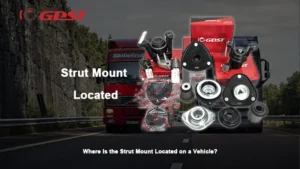 where is the strut mount located